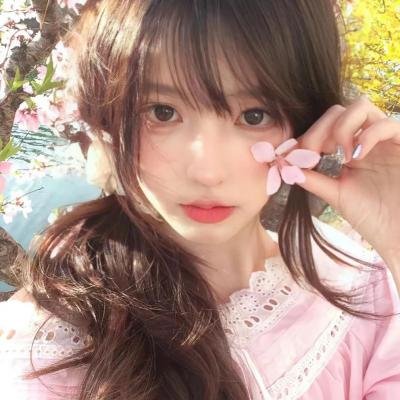白鹭谣