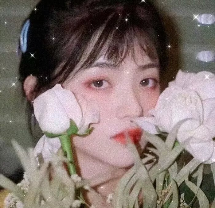 怀梦之邦